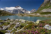 Alpe Veglia - Il Lago del Bianco (2157 m s.l.m.). 